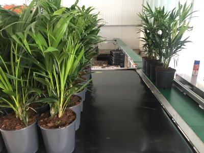 Potplantenbufferband met afduwer - Foto 4