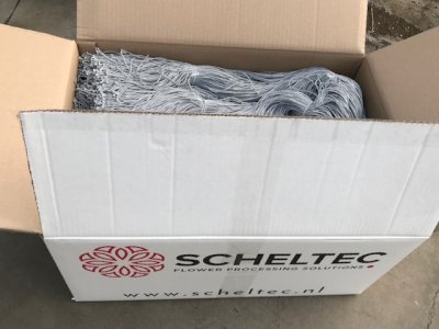 Scheltec-Cymbidiumelastiek - Foto 9