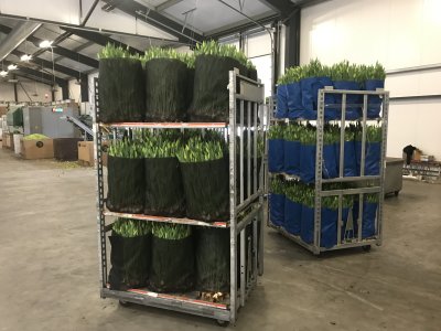 Scheltec-oogstmat/verzameldoek - Foto 8